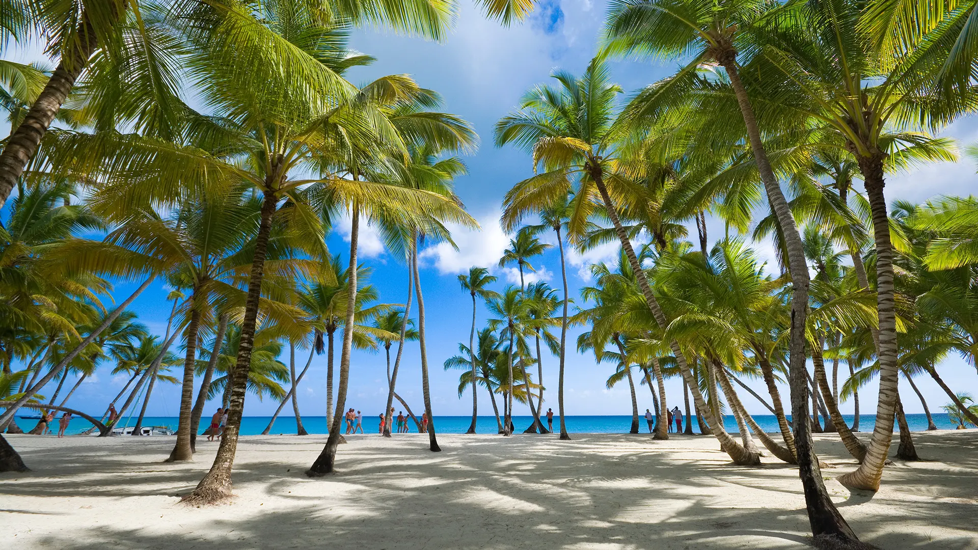 Playa en Isla Saona República Dominicana